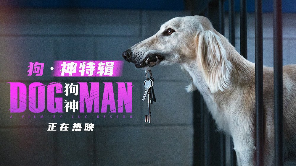 电影《狗神》发布“狗·神”特辑 可爱“神演技”|道格拉斯|吕克·贝松|狗狗|影片|导演_新浪新闻