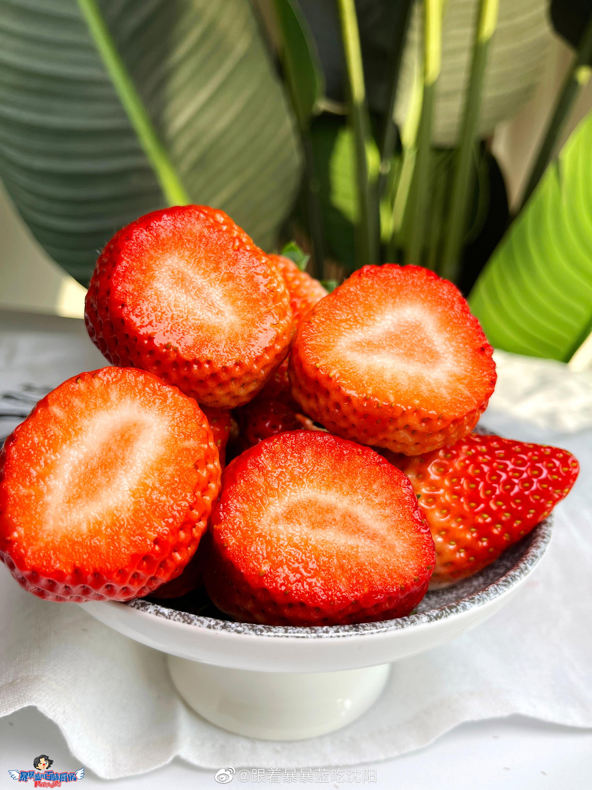 来了来了来了,被你们催着上架的丹东久久草莓又来啦!