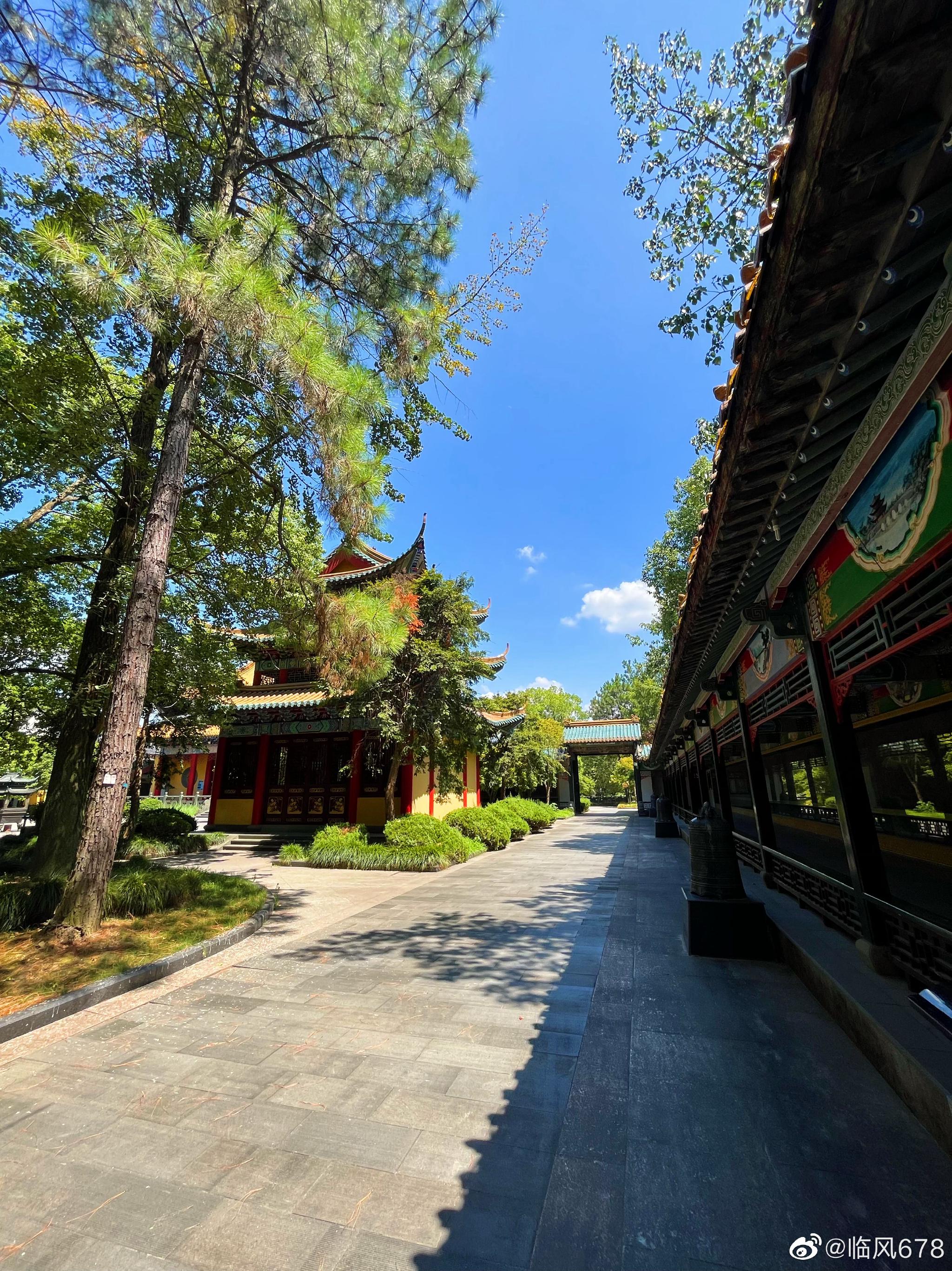 浙江杨岐寺位于浙江省萧山市义桥镇戚家山村……__财经头条