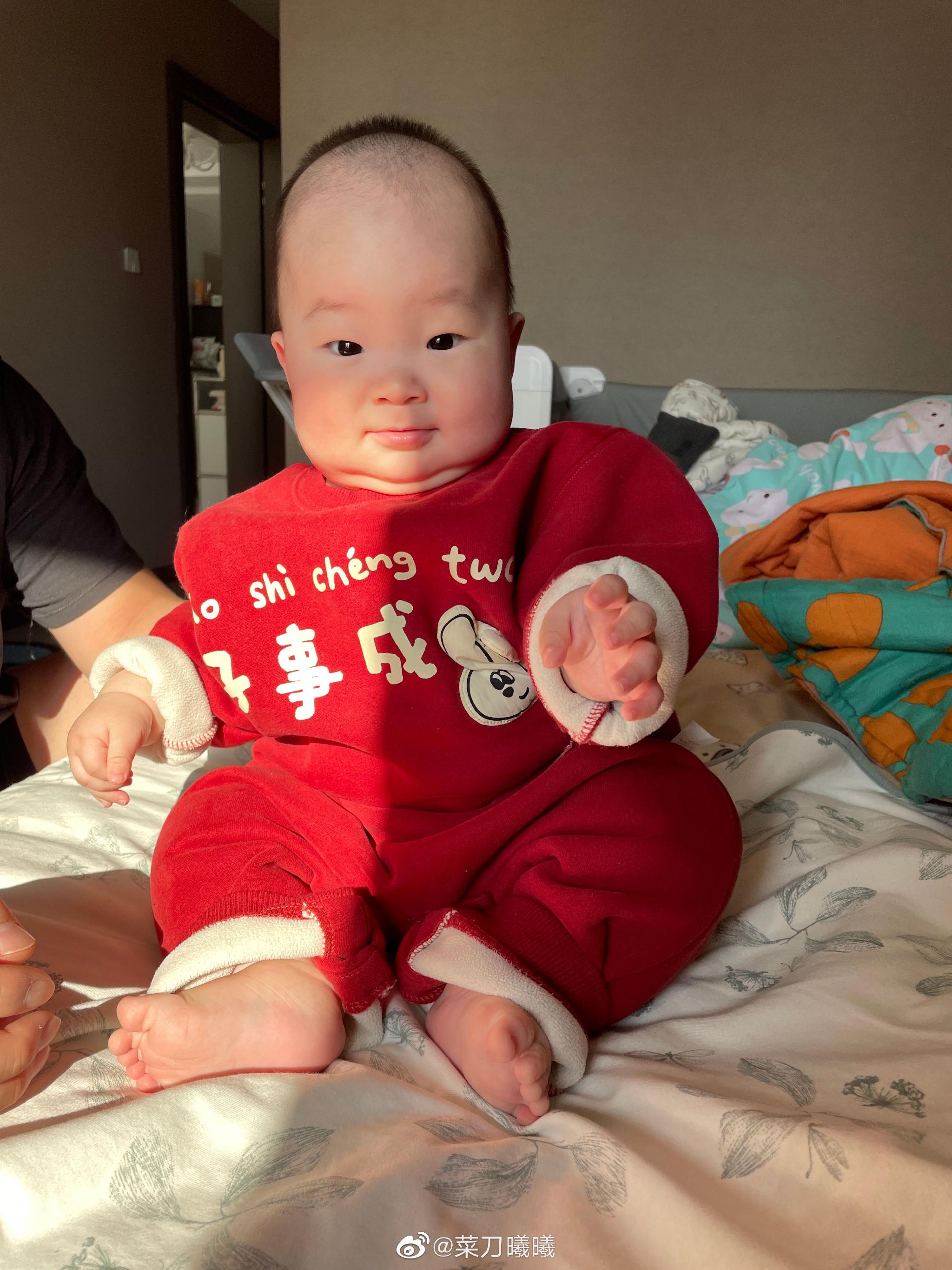 巧虎宝宝版下载