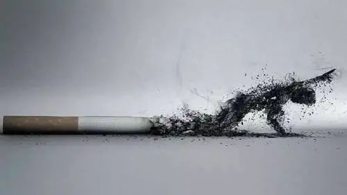 那些抽烟几十年的男人，最后怎么样了？休闲区蓝鸢梦想 - Www.slyday.coM