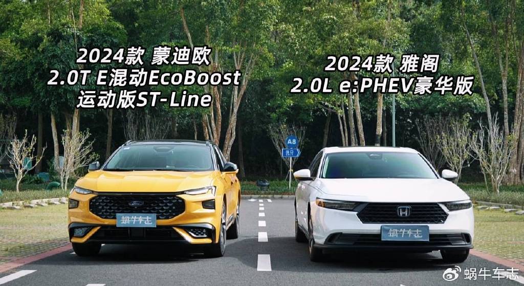 新能源内卷的“白菜”一定要接住！