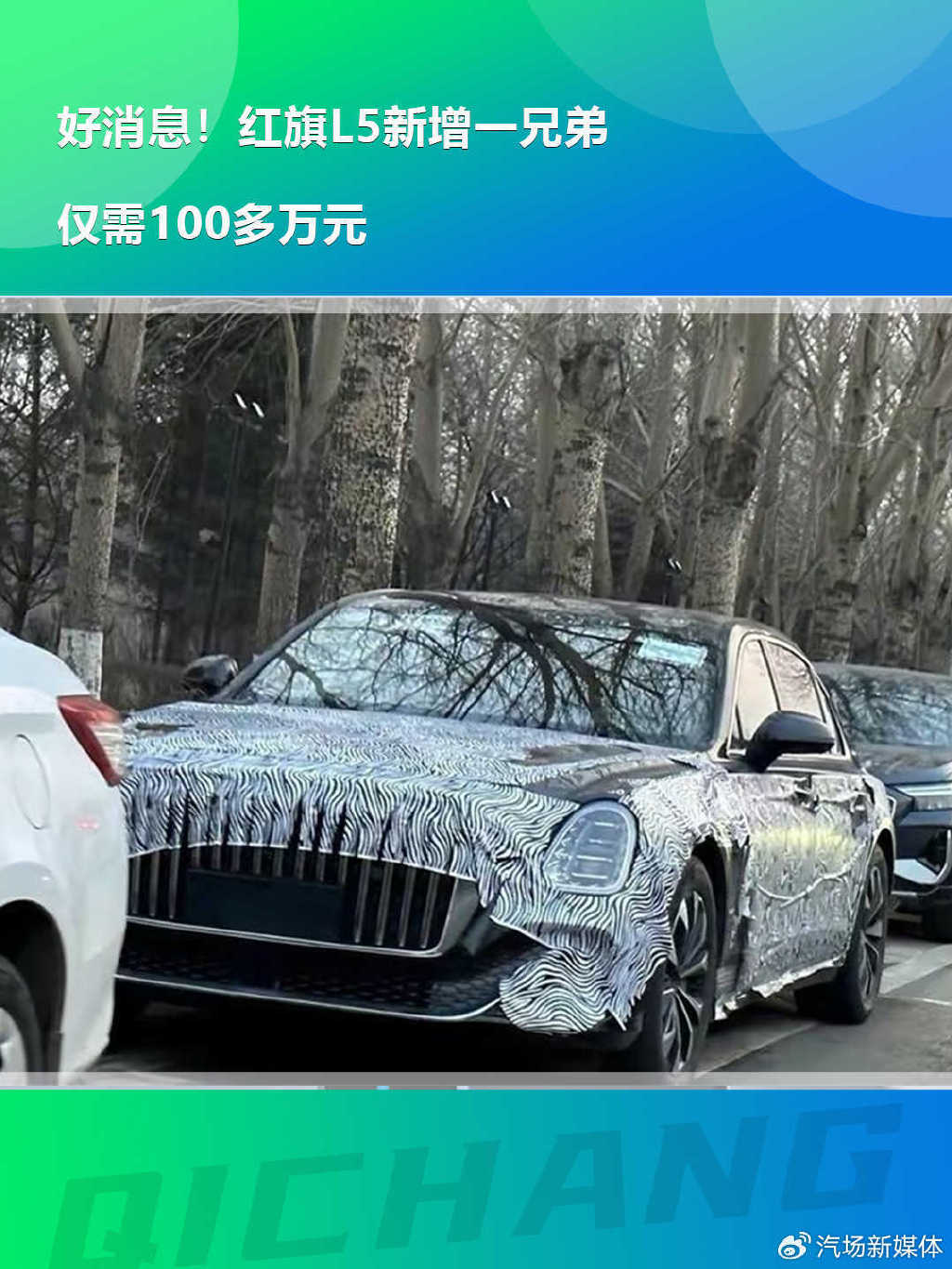 红旗l5新增一兄弟,仅需100多万元-新浪汽车