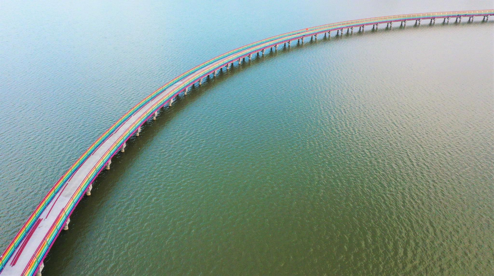 这个春天 去赛城湖绿道踏青吧_高清图集_新浪网