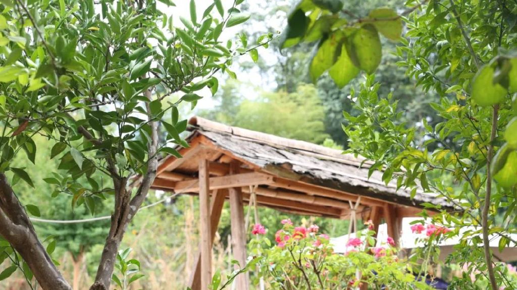 湿疹是怎样形成的？它的发病机制是怎样的？这3个常识你知道吗？休闲区蓝鸢梦想 - Www.slyday.coM