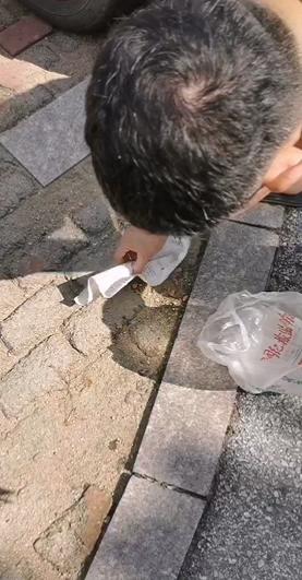 吃了“断肠散”？青岛一小区十几只宠物犬疑遭投毒死亡！警方已介入…休闲区蓝鸢梦想 - Www.slyday.coM