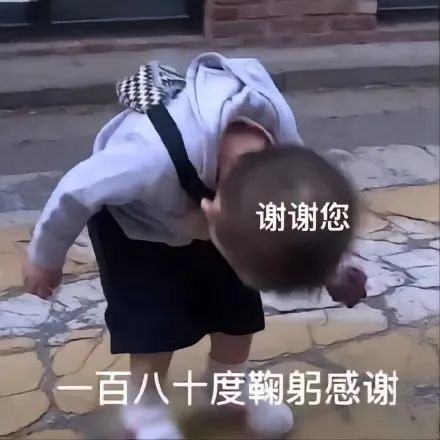 各种表达感谢表情包