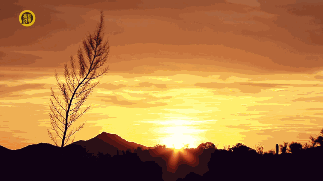 那天最后一抹夕阳要被云遮去,夏夜晚风偷偷起来时,我竟然突然有点理解