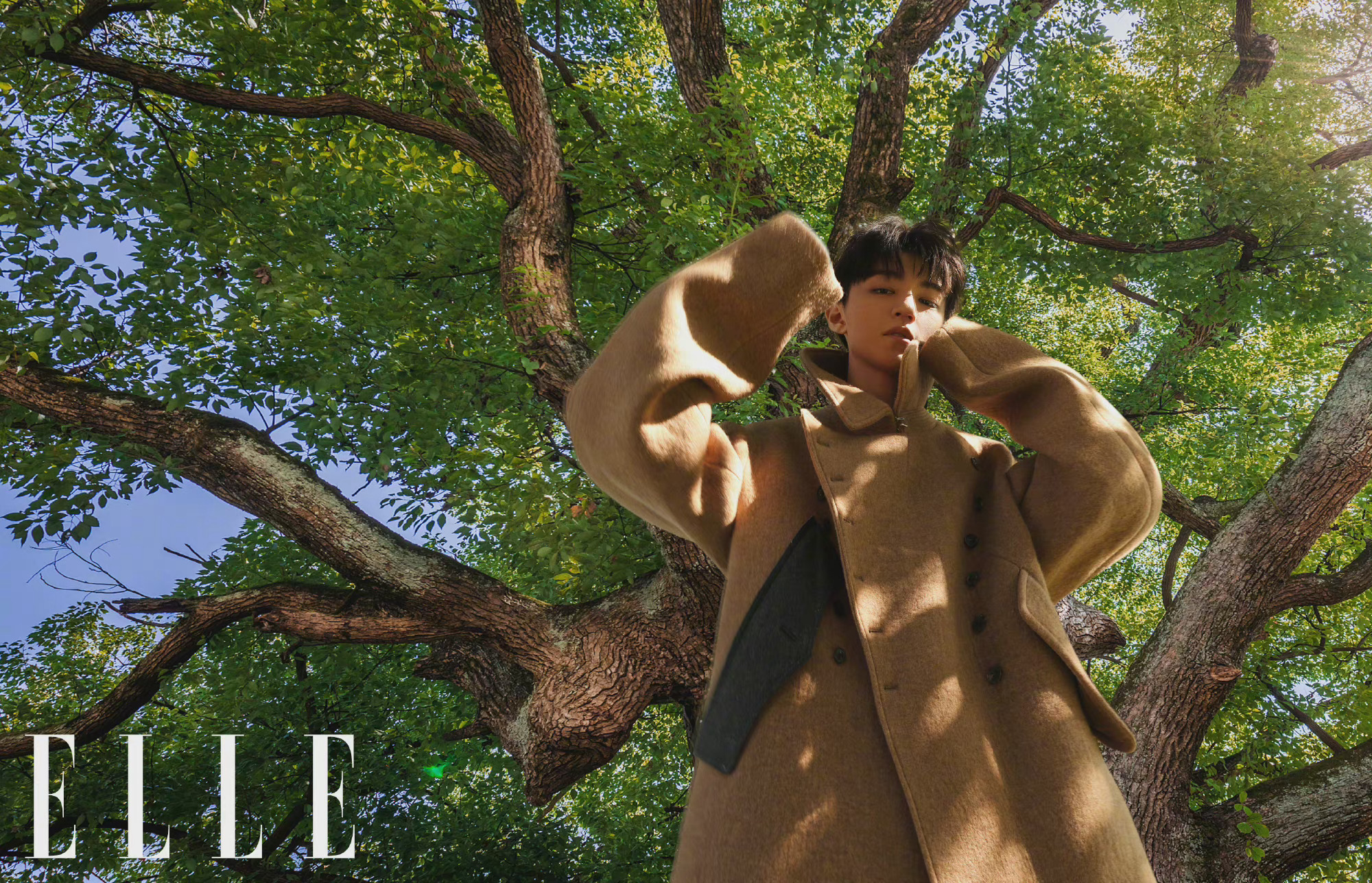 王俊凯elle十一月刊封面内页 阳光治愈系少年,少年自在如风……__财经