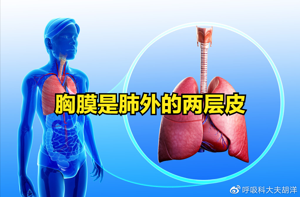 干性胸膜炎是什么病有人剧痛到要跳脚有人发热到卧床怎么治