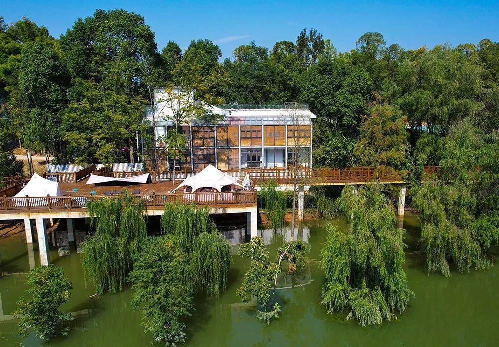 瀛湖酒店餐饮9折瀛家精品民宿标间(适用于所有游客)瀛湖还推出其他重