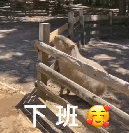 动态表情包gif_新浪新闻