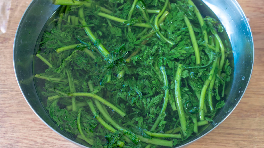 推荐食谱【凉拌茼蒿】食材:茼蒿1把,花生200克,生抽,香醋,蚝油,盐,糖