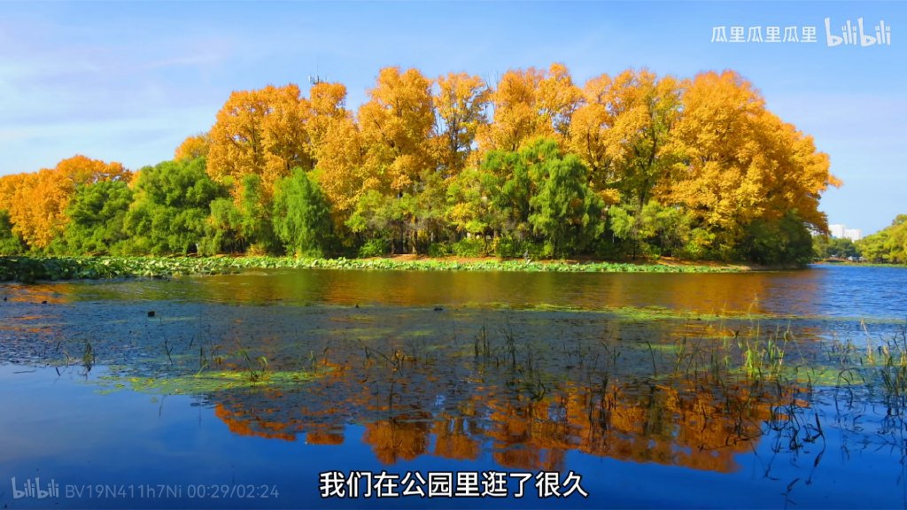 祖国金秋美丽，摄于黑龙江齐齐哈尔扎龙湿地