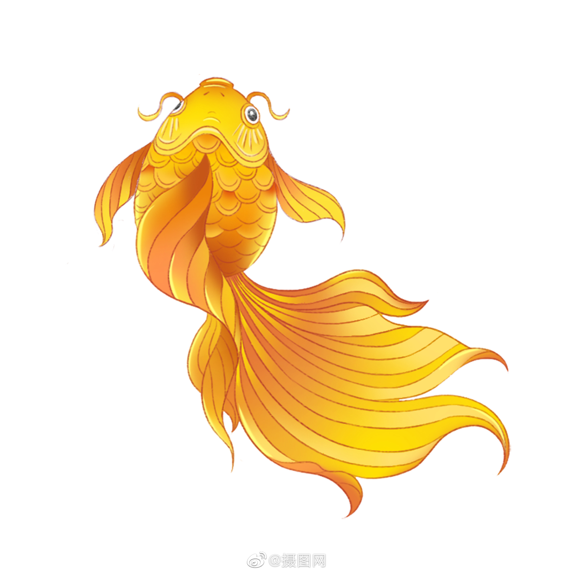 锦鲤|中国风|好运_新浪新闻