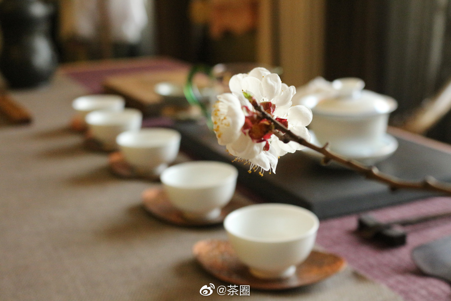 静心独坐,捧茶入定,清苦的茶汁幽香四溢,齿颊留香