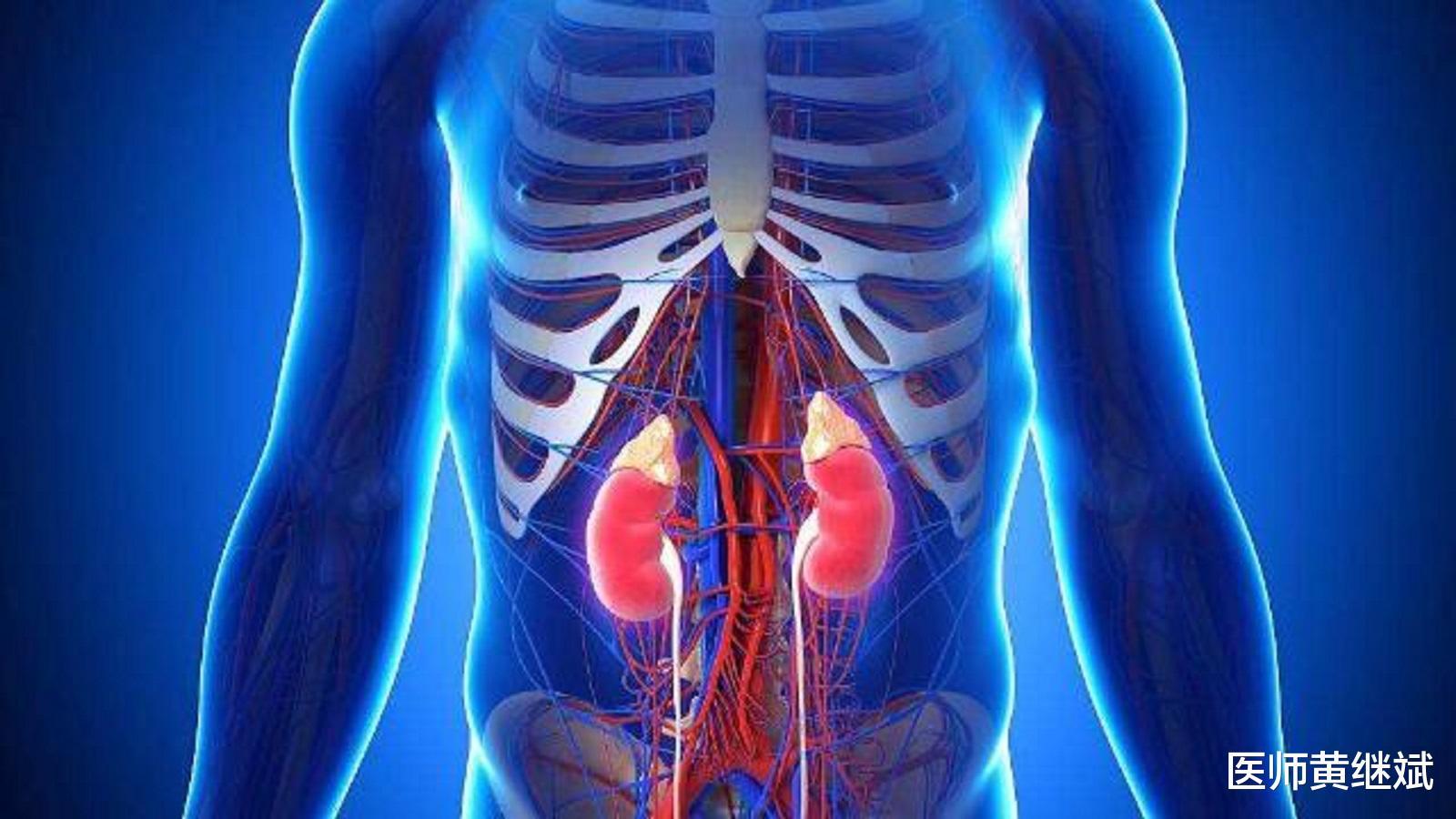 体内两大重要器官及时排毒为健康护航肝和肾如何保养