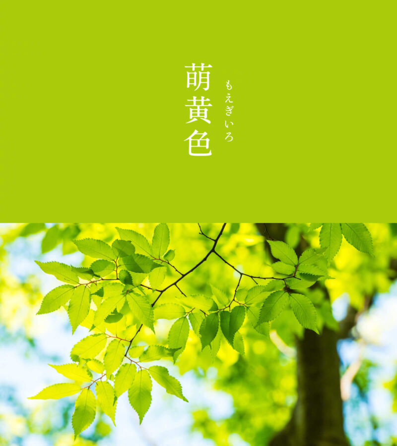 一组绿色配色参考