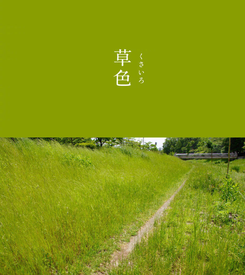 一组绿色配色参考