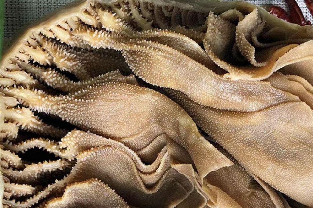 牛有几个胃很多人不知道不同牛肚的吃法区别大了建议了解