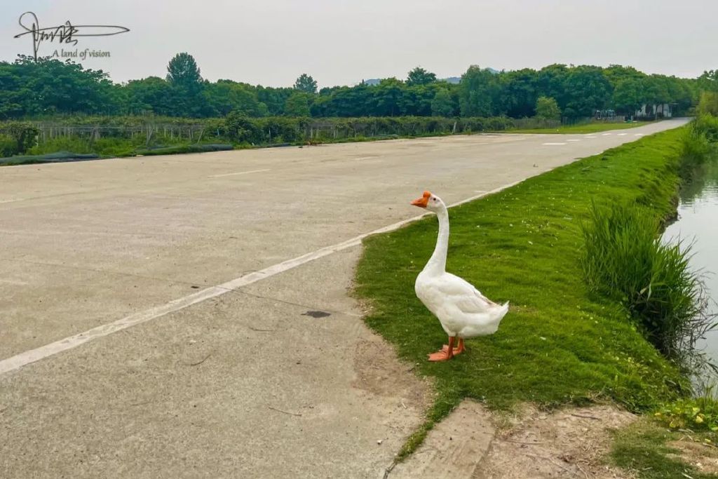 探秘杭州的“南天一柱”景点，没想到这里只剩下了鸡鸭和果园休闲区蓝鸢梦想 - Www.slyday.coM