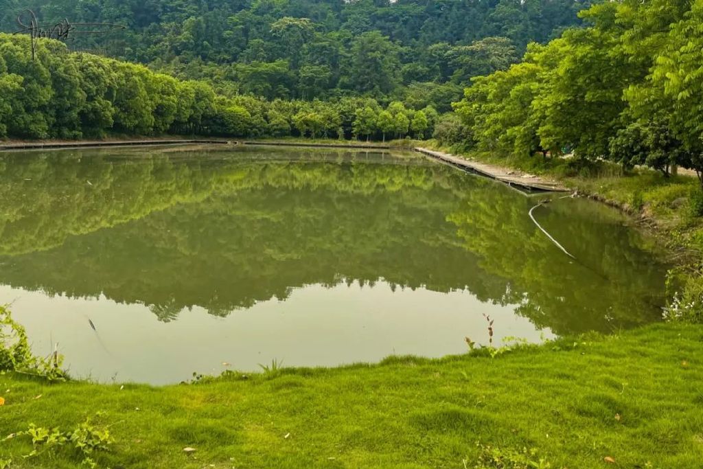 探秘杭州的“南天一柱”景点，没想到这里只剩下了鸡鸭和果园休闲区蓝鸢梦想 - Www.slyday.coM