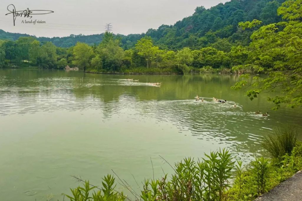 探秘杭州的“南天一柱”景点，没想到这里只剩下了鸡鸭和果园休闲区蓝鸢梦想 - Www.slyday.coM