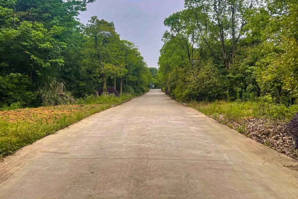 探秘杭州的“南天一柱”景点，没想到这里只剩下了鸡鸭和果园休闲区蓝鸢梦想 - Www.slyday.coM