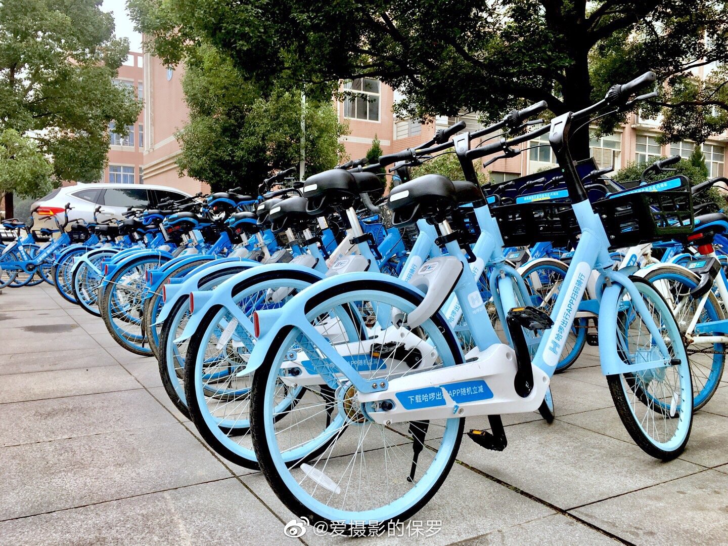 下班走在校园,发现校园的共享单车(哈罗单车)换新装了(图一)_高清图集