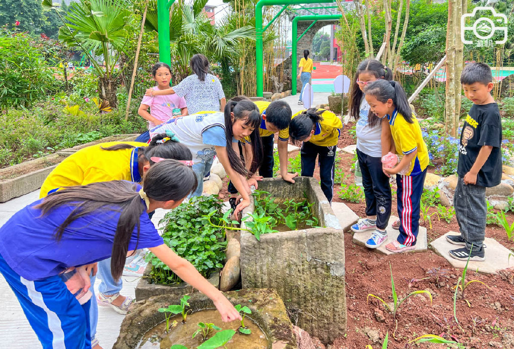将开心农场搬进校园,重庆潼南体育路学校火了,学生争当小园丁|重庆市