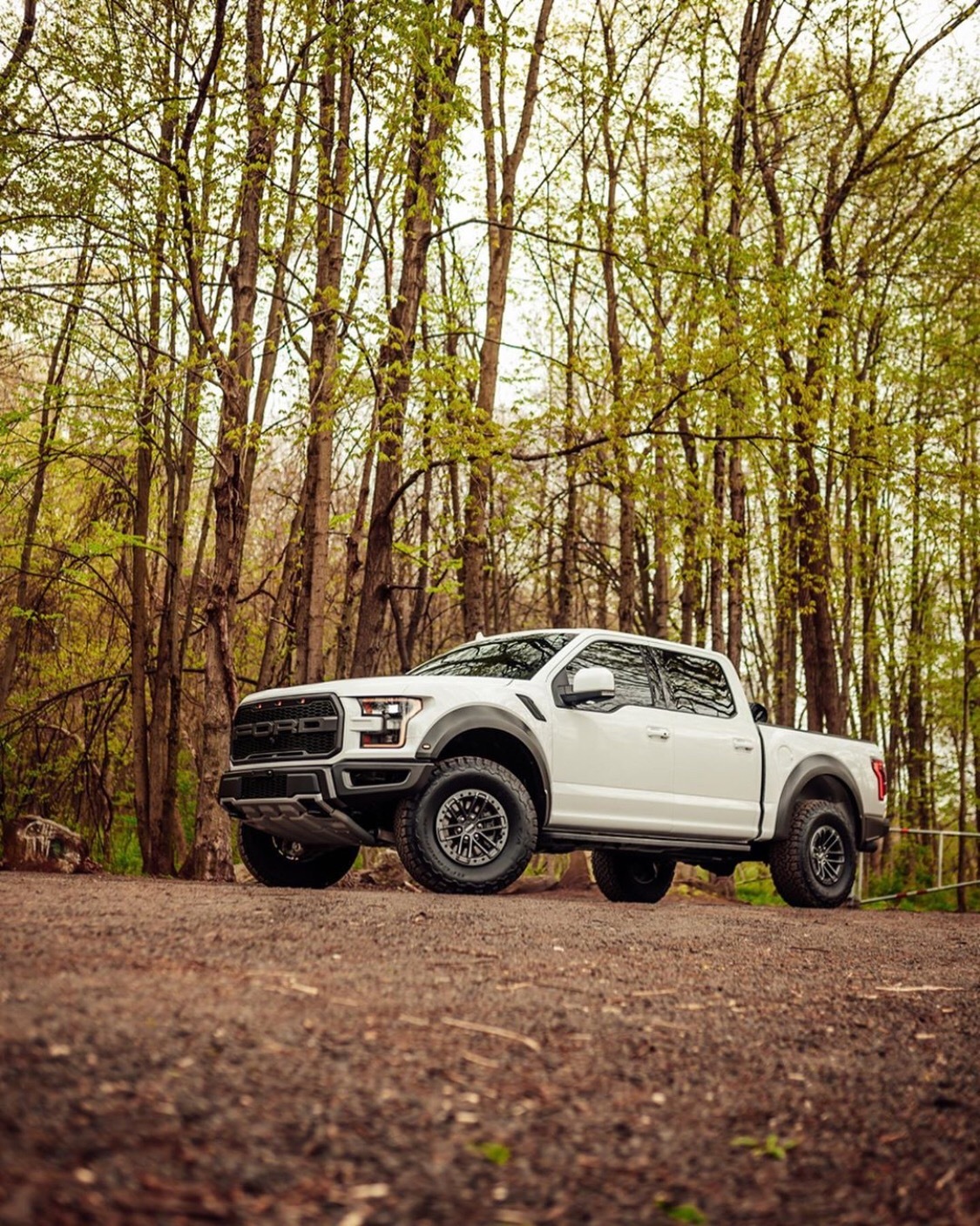 ford f150 raptor_高清图集_新浪网