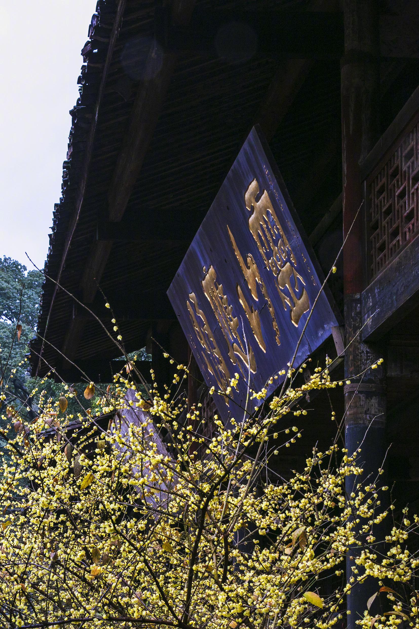 『 四川泸州|合江县法王寺 碧瓦红墙,令人神往 』