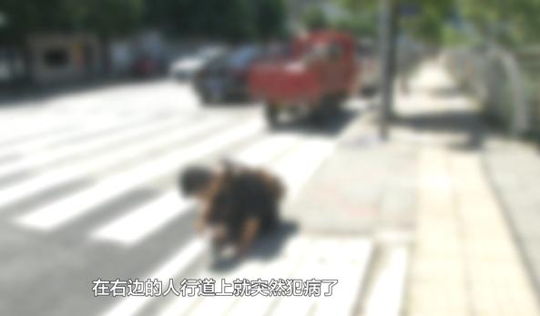 贵阳老人大街上晕倒，公交司机出手相救：从没往碰瓷想过！休闲区蓝鸢梦想 - Www.slyday.coM