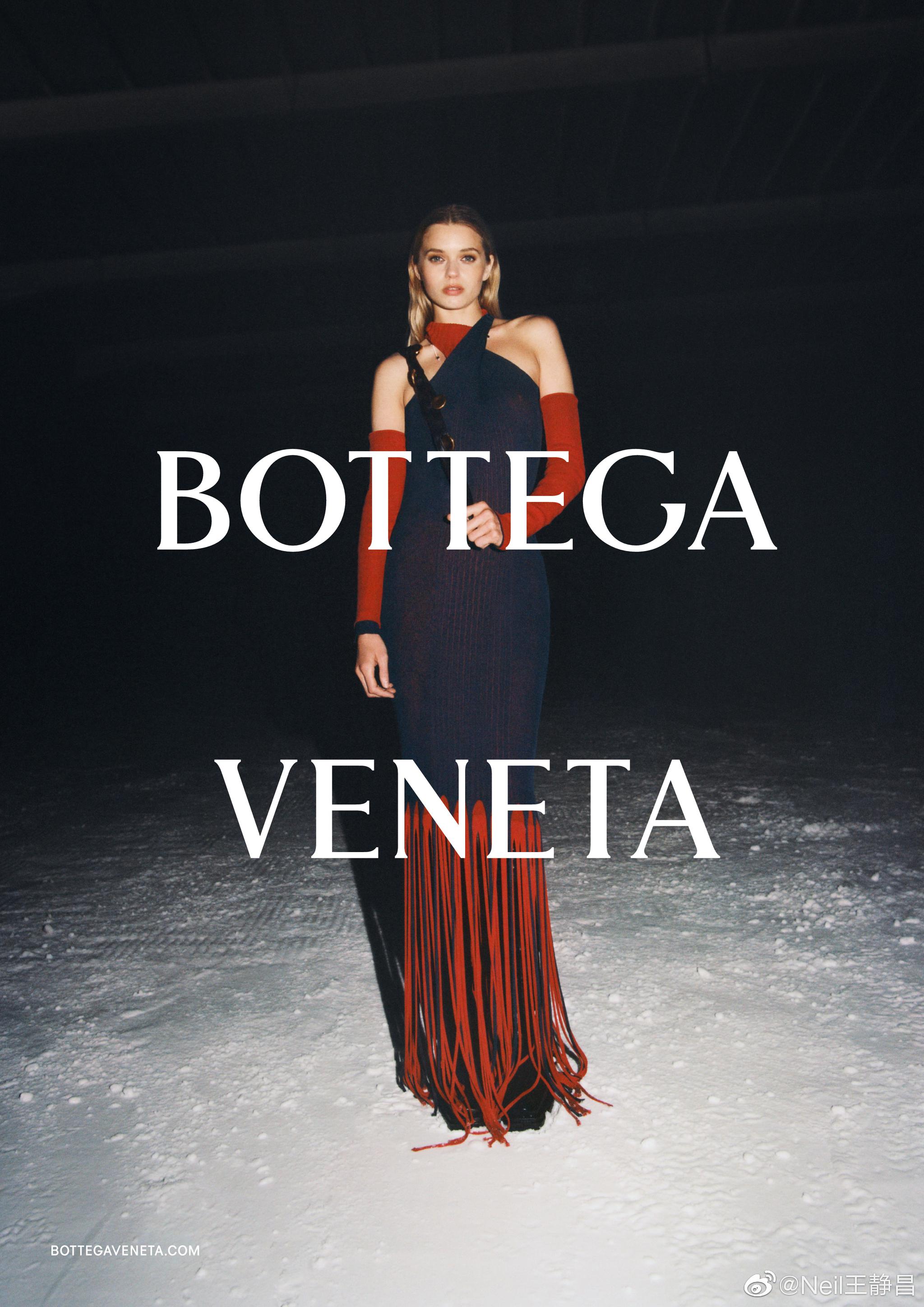 bottegaveneta2020秋季系列广告大片quinnmoraabbeylee