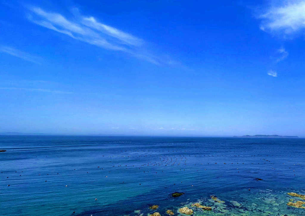 大连獐子岛,天蓝蓝,海蓝蓝,想去游玩吗|獐子岛|海蓝|大连_新浪新闻