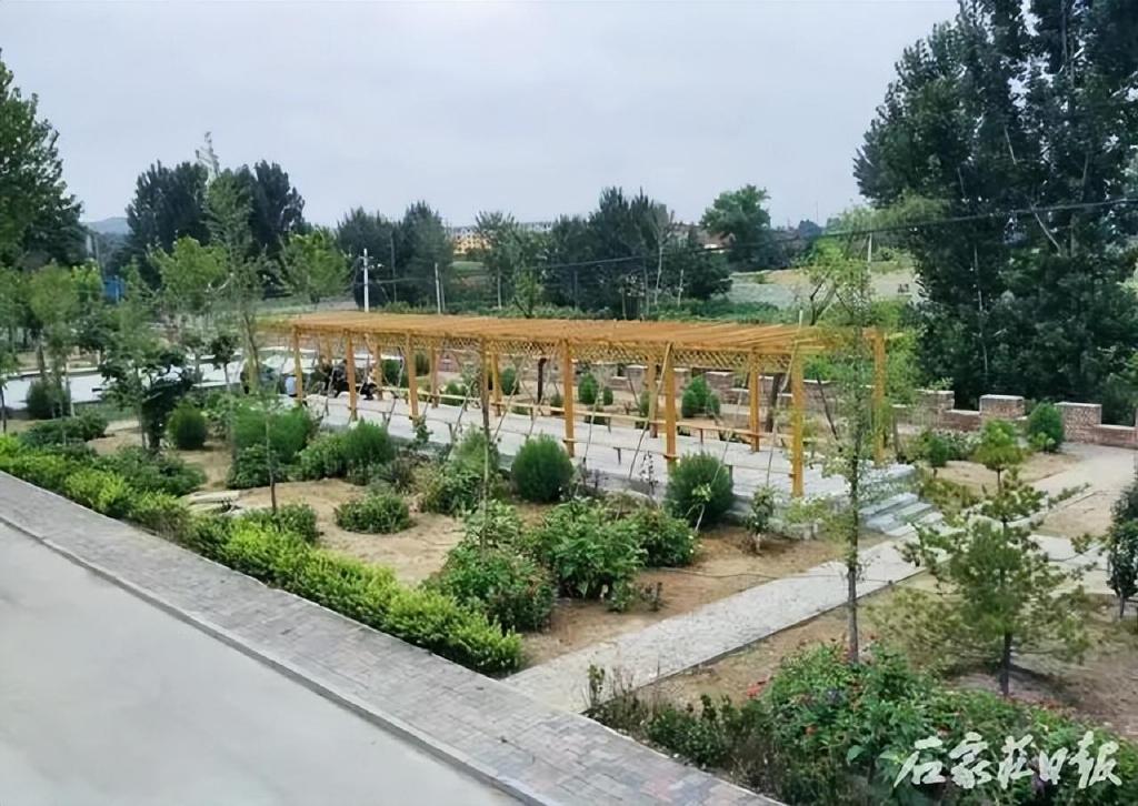 行唐县口头镇鲁家庄村荣获"省级森林乡村"称号|行唐县|乡村|口头_新浪