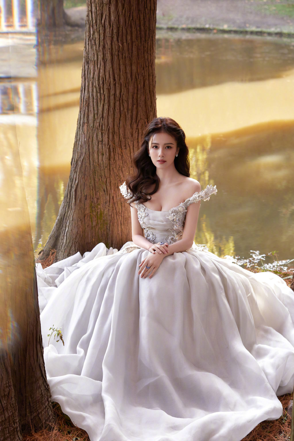 白鹿 仿佛是迷失在林中的仙女__财经头条