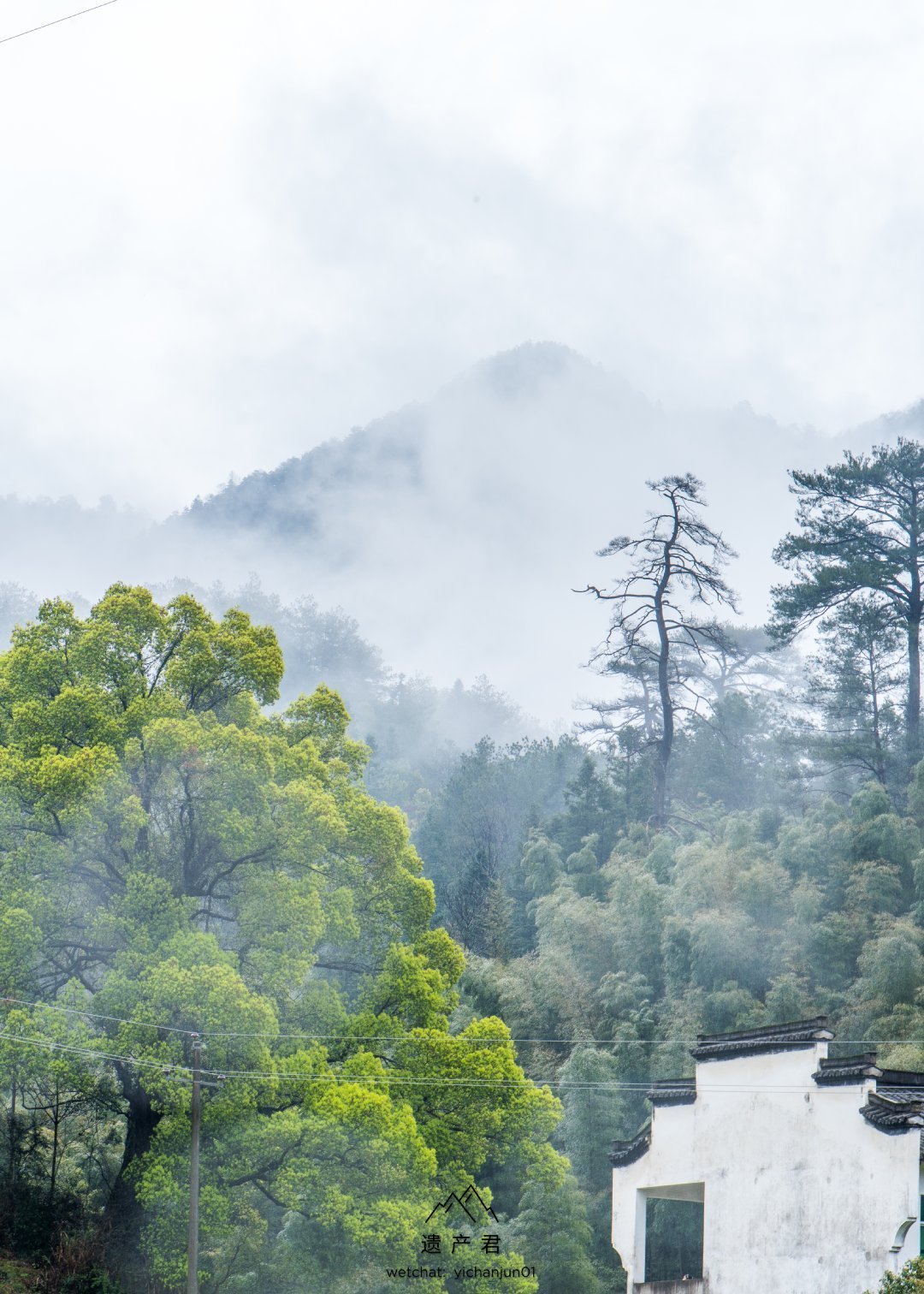 江西婺源晓起村_高清图集_新浪网
