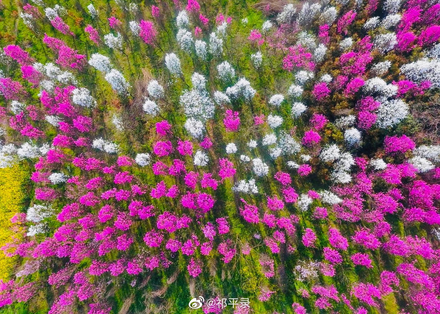 桃花源到底在哪里 东晋年间 陶渊明在 桃花源记 里 桃花源到底在哪里 东晋年间 陶渊明在 桃花源记 里