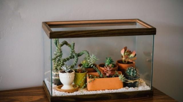 的鱼缸,之前养鱼的时候拿来使用,但是一段时间后它就变成了闲置物品