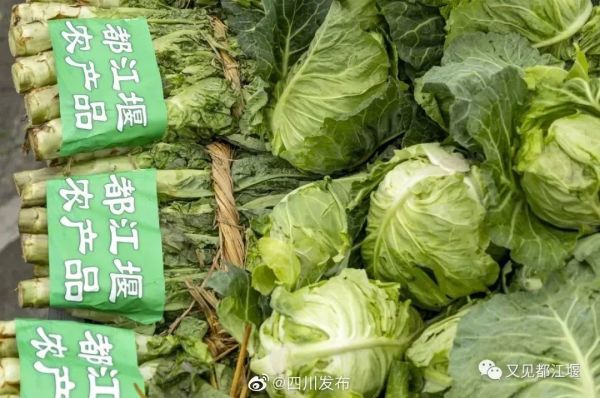 我们来啦！大白菜、牛奶……全国多地驰援上海，满满感动！休闲区蓝鸢梦想 - Www.slyday.coM