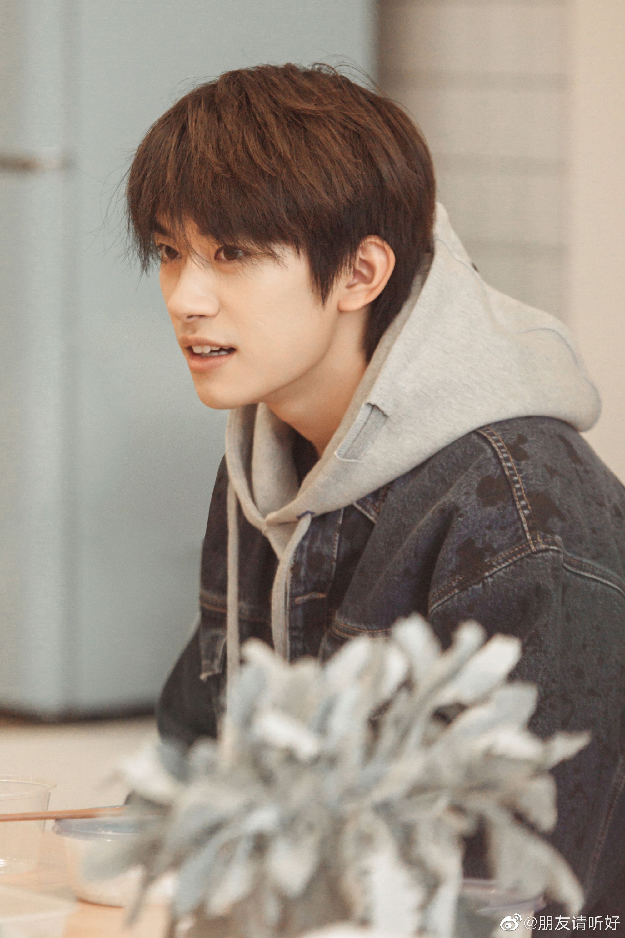 易烊千玺好阳光的男孩,又开始撸猫,期待帅哥_高清图集_新浪网