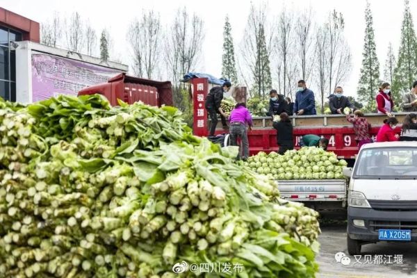 我们来啦！大白菜、牛奶……全国多地驰援上海，满满感动！休闲区蓝鸢梦想 - Www.slyday.coM