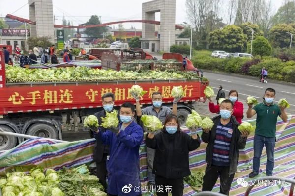 我们来啦！大白菜、牛奶……全国多地驰援上海，满满感动！休闲区蓝鸢梦想 - Www.slyday.coM