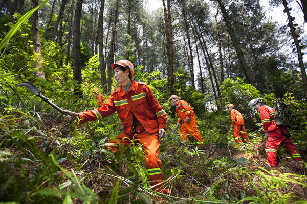 贵州省黔西市重新镇碗厂沟国有林场,护林员在林间巡查护林.
