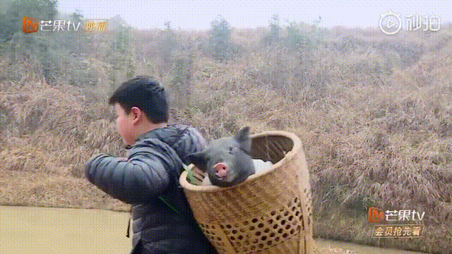 娱乐圈最惨太子爷才10岁被亲妈强行与綦美合组cp