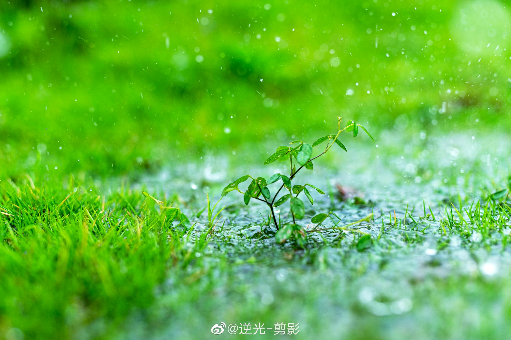 4拍雨景是种什么样的体验—— 好看好看!