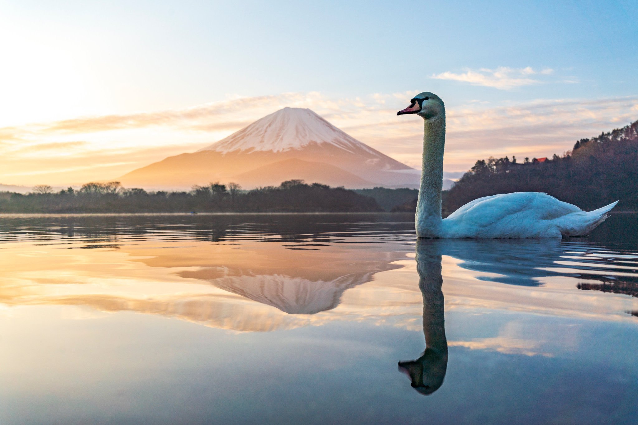 日本一位摄像师原本打算拍富士山湖中倒影的