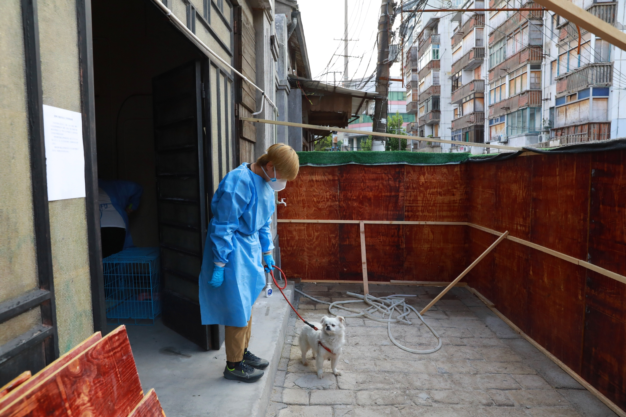 上海市建立首个“动物方舱”休闲区蓝鸢梦想 - Www.slyday.coM 上海市建立首个“动物方舱”休闲区蓝鸢梦想 - Www.slyday.coM