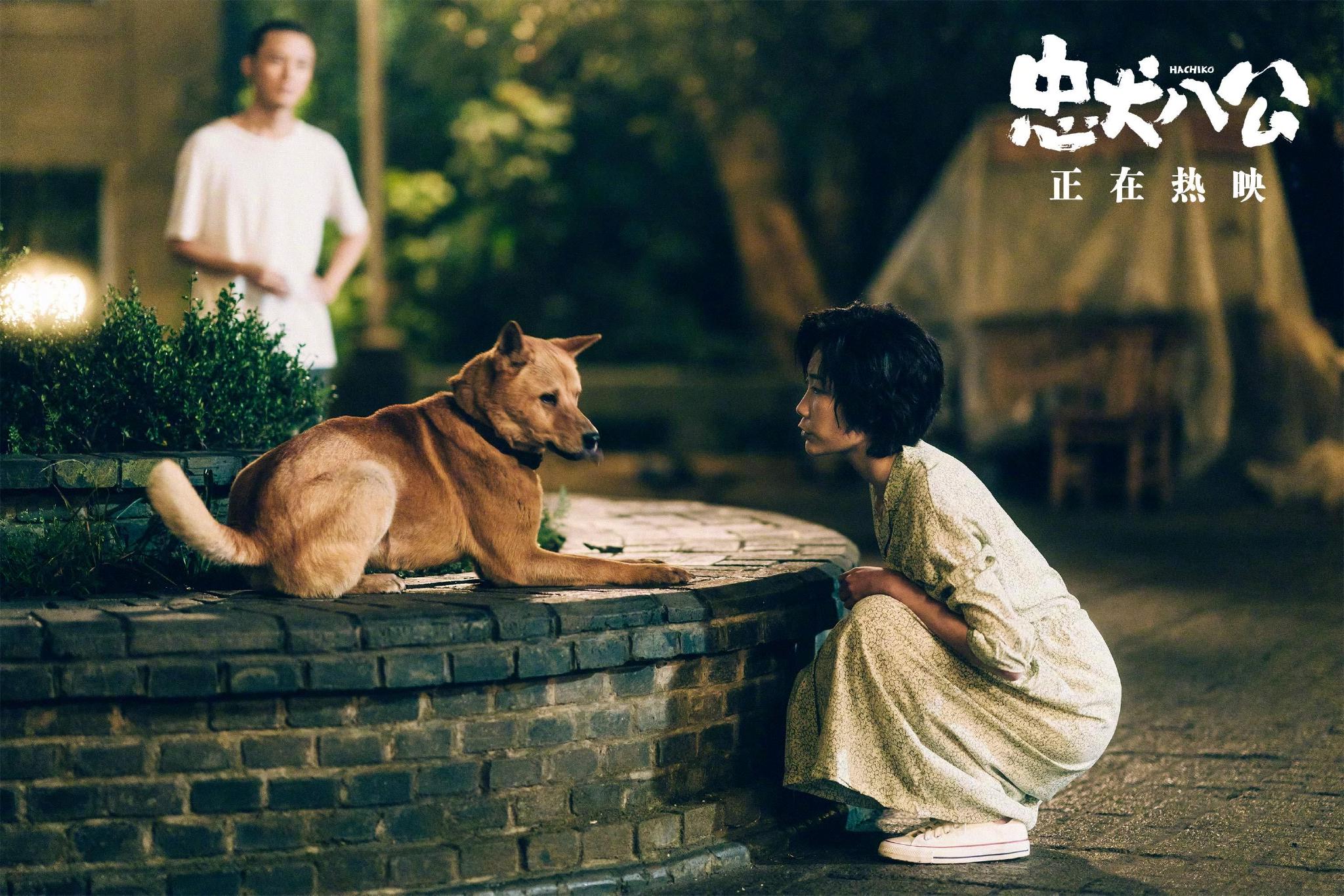 中国版《忠犬八公》今日起正式上映!